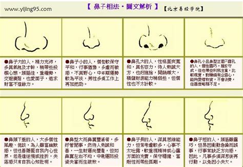 通天鼻子的男人命运好不好_通天鼻子的男人是什么命,第4张