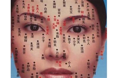 女人鼻尖上有痣好不好_女人鼻子尖上有痣好吗,第7张 女人鼻尖上有痣好不好_女人鼻子尖上有痣好吗,第7张